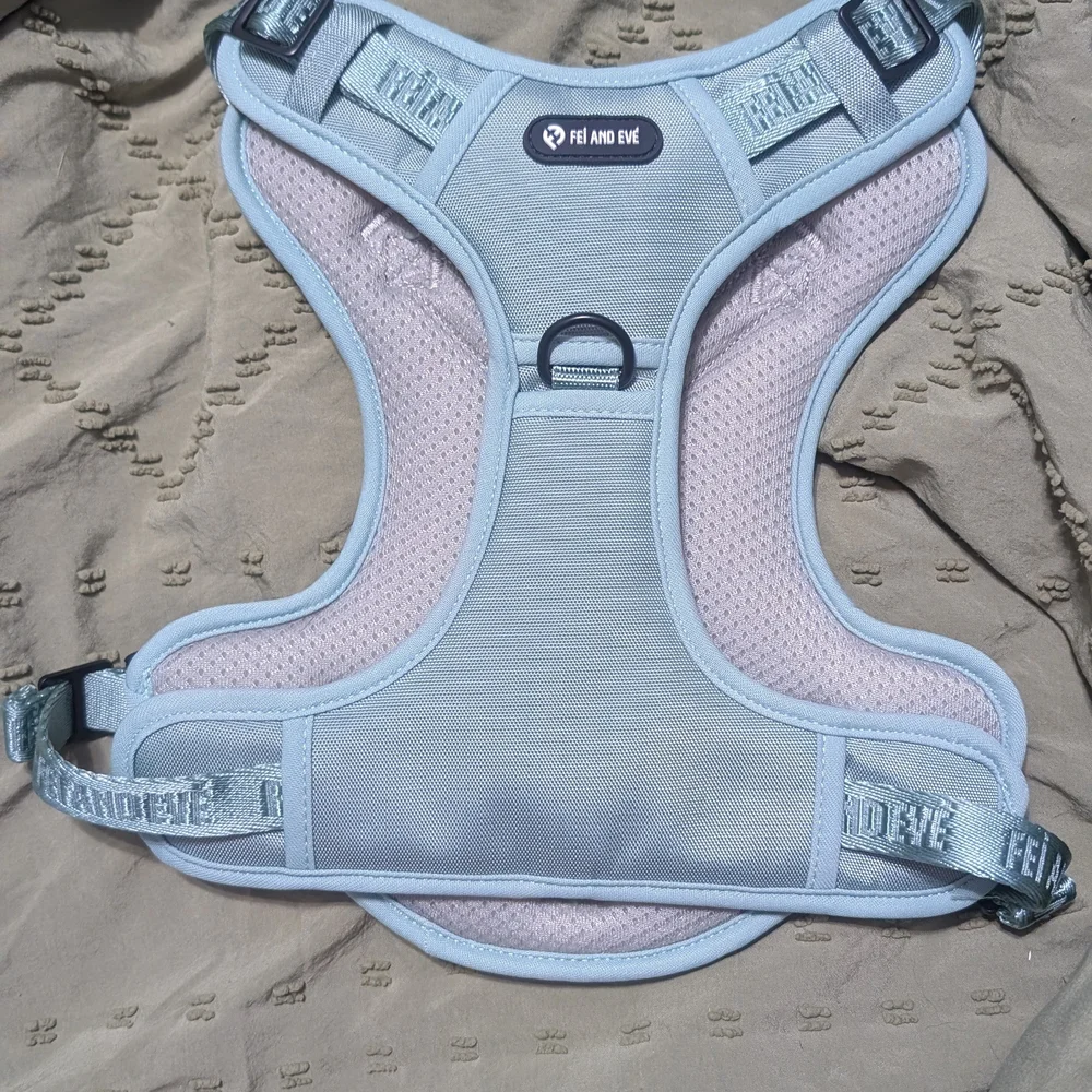 Padded Dog Harness in Glacier Green - Picture 5 of 6